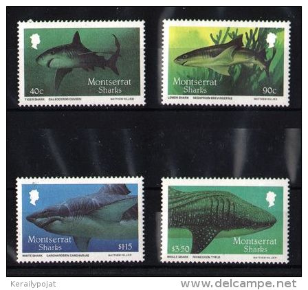 Montserrat - 1987 Sharks MNH__(TH-4926) - Montserrat