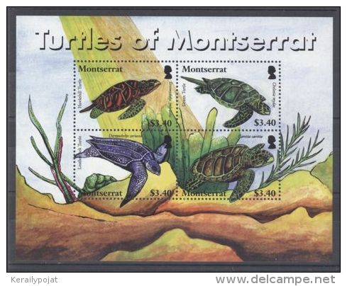 Montserrat - 2007 Turtles Kleinbogen MNH__(TH-5117) - Montserrat