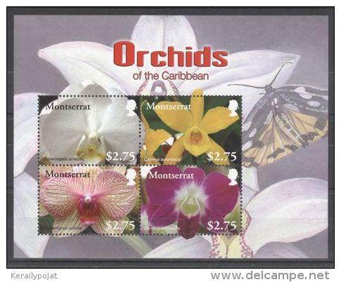 Montserrat - 2008 Orchids Kleinbogen (1) MNH__(TH-8730) - Montserrat