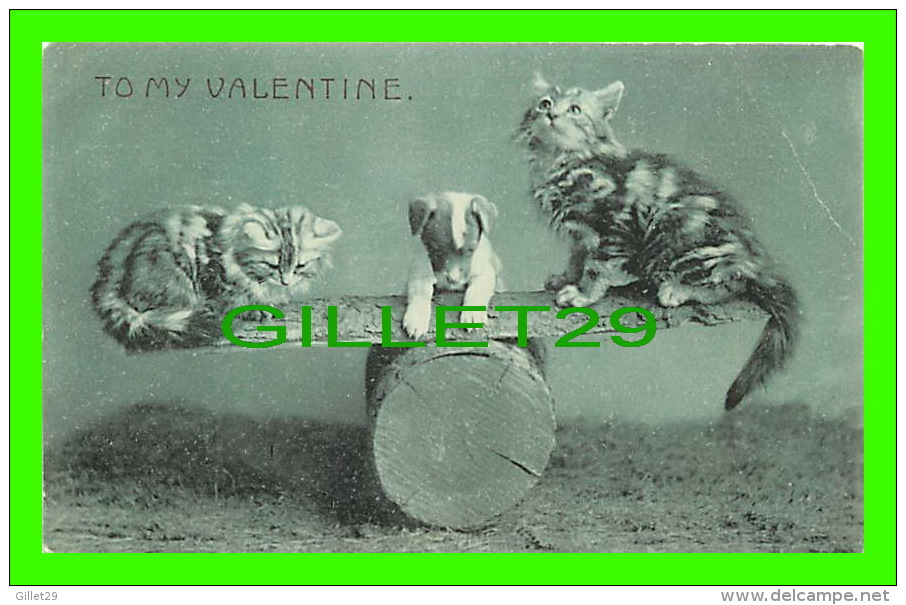 VALENTINE'S DAY - TO MY VALENTINE - CATS & DOG ON A LOG - W.H.B. - UNDIVIDED BACK - - Valentinstag