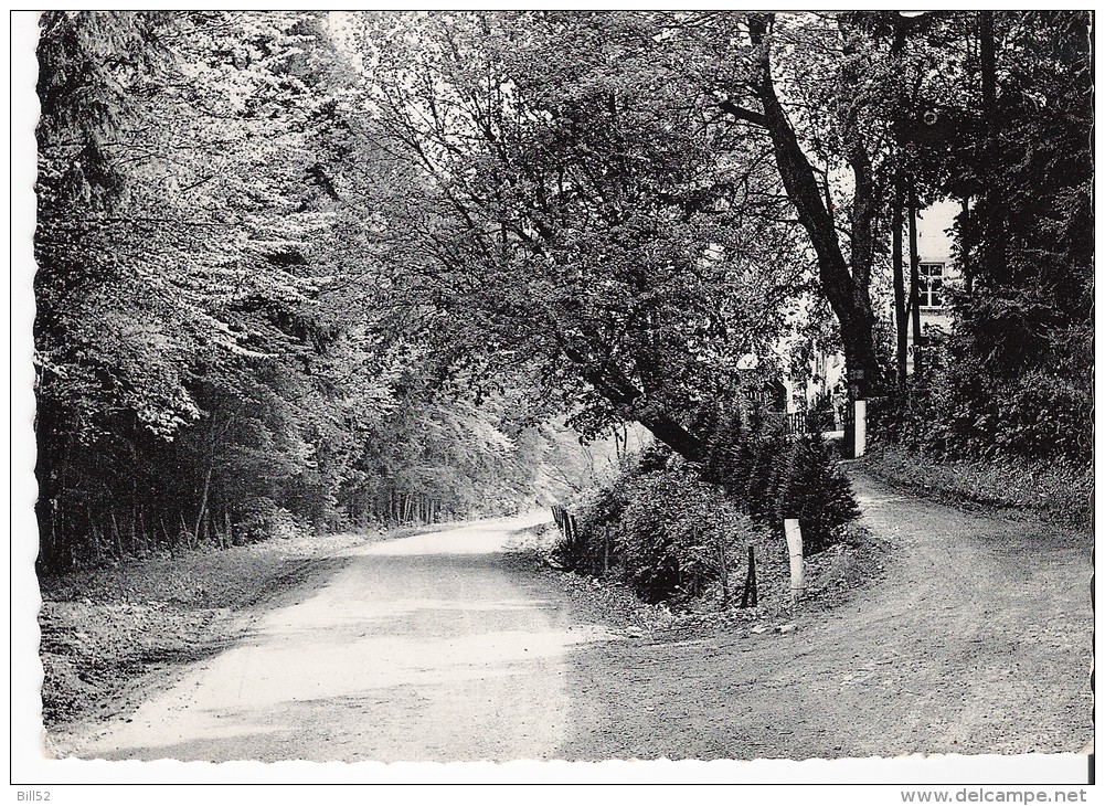 Neupont  Route De Daverdisse - Wellin