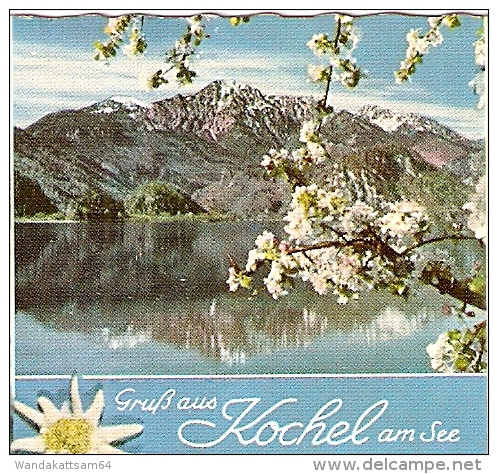 AK 8518 Gruß Aus Kochel Am See Mehrbildkarte 9 Bilder 6. 8. 67 8113 KOCHEL A. SEE - Penzberg