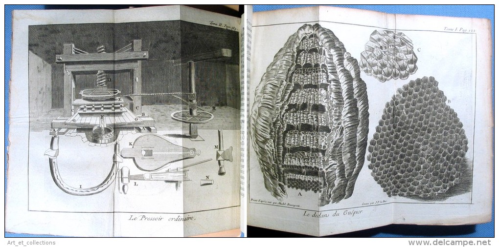 Le SPECTACLE de la NATURE / 2 Tomes / Veuve Étienne éditrice en 1741 & 1743 / Nombreuses gravures dépliantes