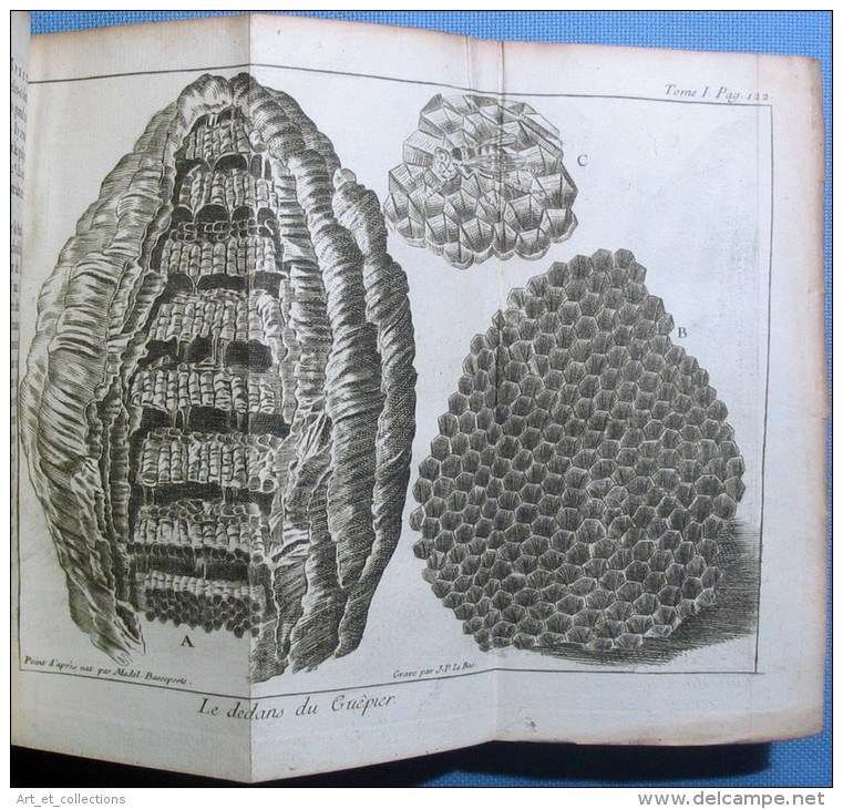 Le SPECTACLE de la NATURE / 2 Tomes / Veuve Étienne éditrice en 1741 & 1743 / Nombreuses gravures dépliantes