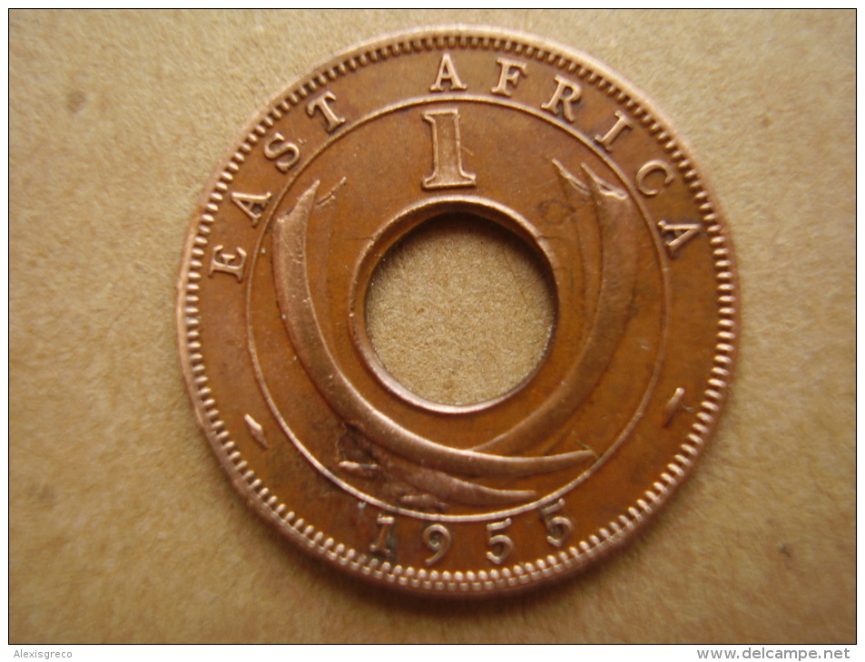 BRITISH EAST AFRICA USED ONE CENT COIN BRONZE Of 1955 KN. - Africa Oriental Y Protectorado De Uganda
