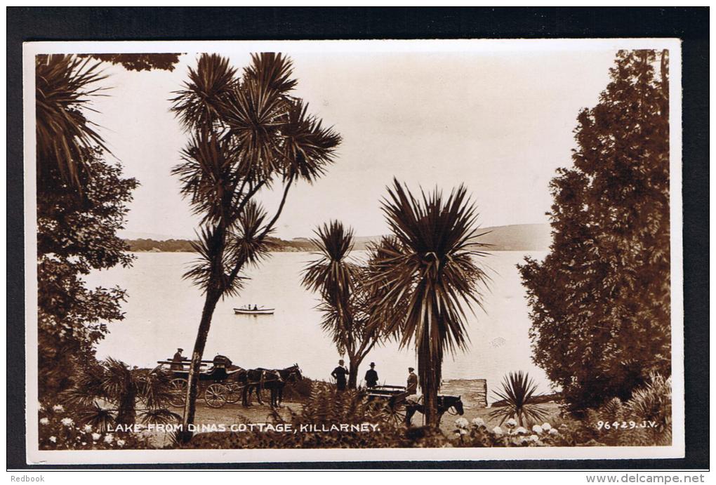 RB 942 - Real Photo Postcard - Lake From Dinas Cottage - Killarney County Kerry Ireland Eire - Kerry