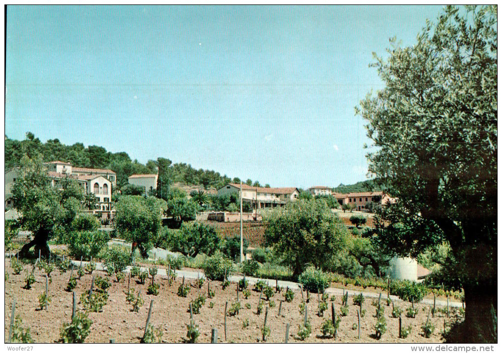 CPM   LA VALETTE DU VAR   Domaine Des Gueules Cassées - La Valette Du Var