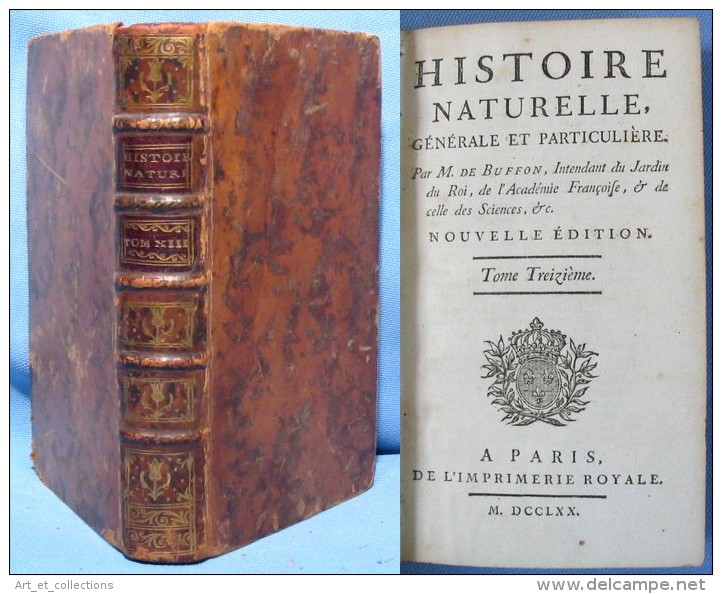 Histoire Naturelle Générale Et Particulière / M. De Buffon / Imprimerie Royale De 1770 / Dernier Tome De TABLES - 1701-1800