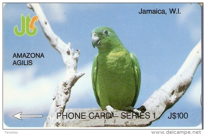 TARJETA DE JAMAICA DE UN LORO (PARROT) 8JAMA - Papegaaien & Parkieten