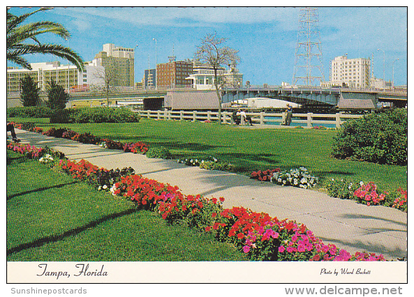 Skyline Of Tampa With Platt And Brorein Bridges Florida - Tampa