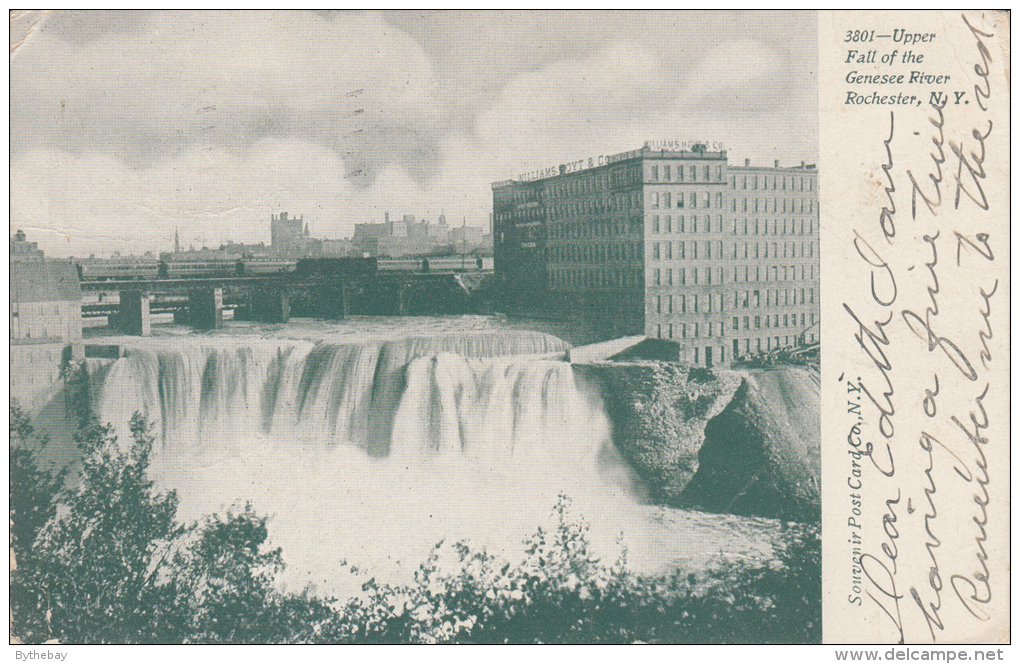 3801 - Upper Fall Of The Genesee River, Rochester, NY - Rochester