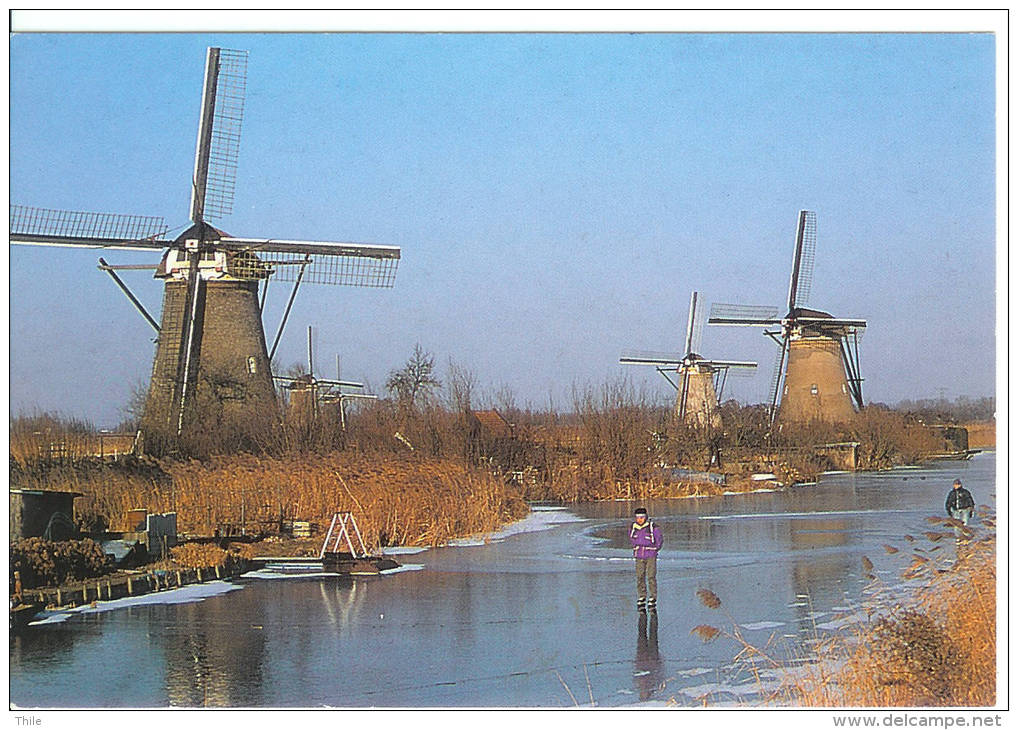 KINDERDIJK Molens - Moulins à Vent - Kinderdijk