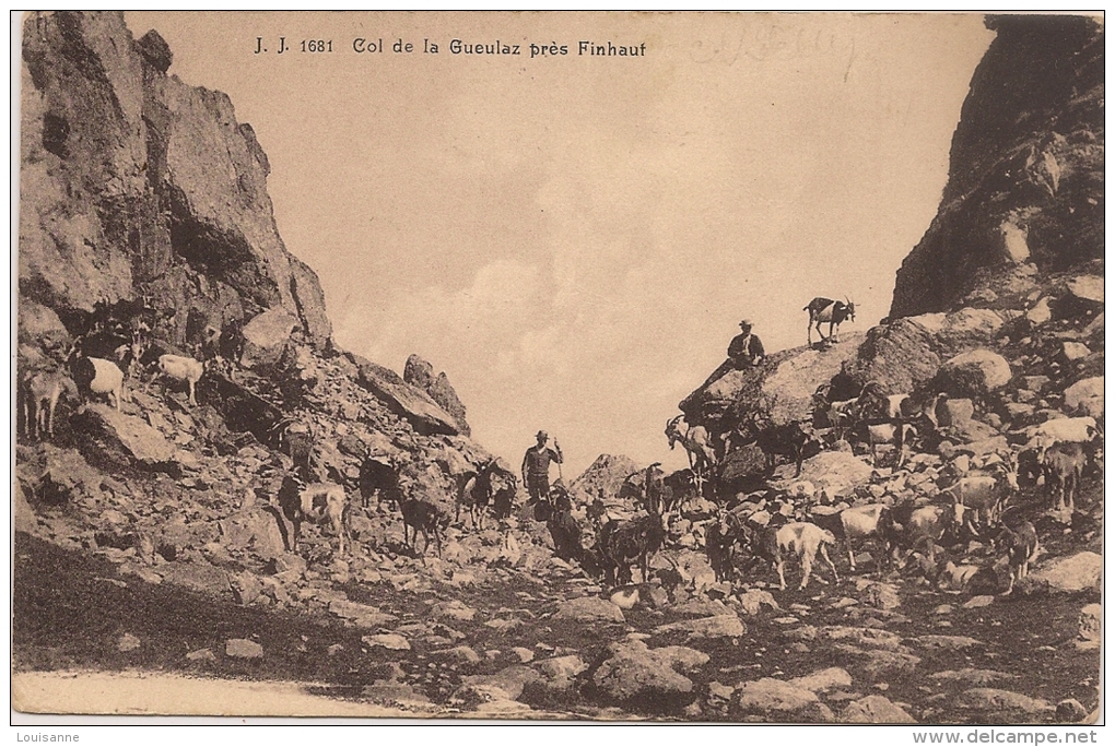 13 / 8 / 318  -   COL  DE  LA  GUEULAZ  PRÈS  FINHAUT - Otros & Sin Clasificación