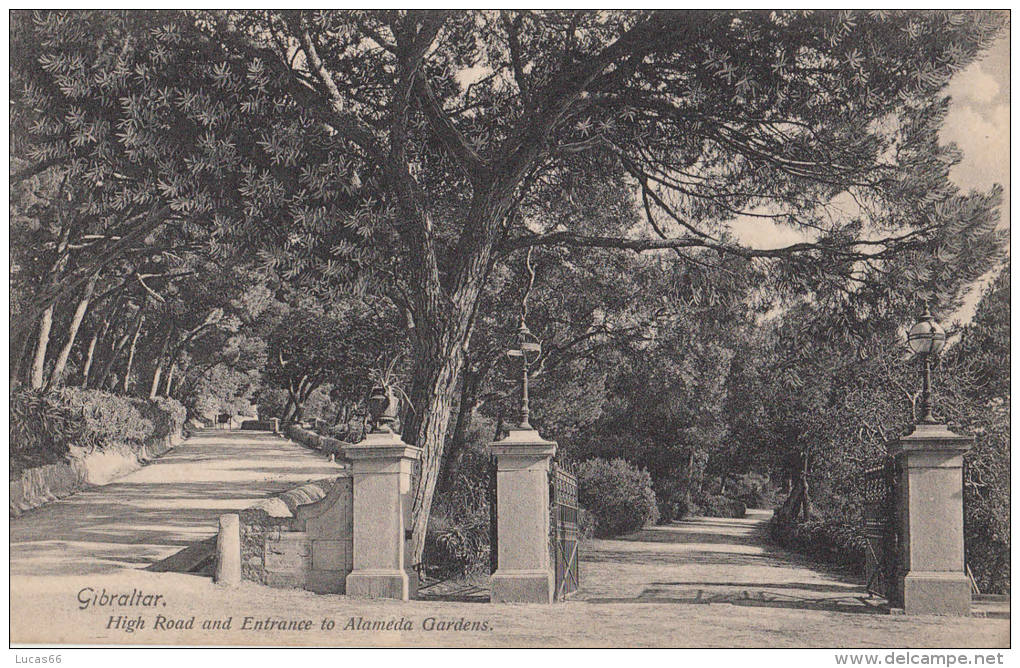 C1900 GIBRALTAR - HIGH ROAD AND ENTRANCE TO ALAMEDA GARDENS - Gibilterra