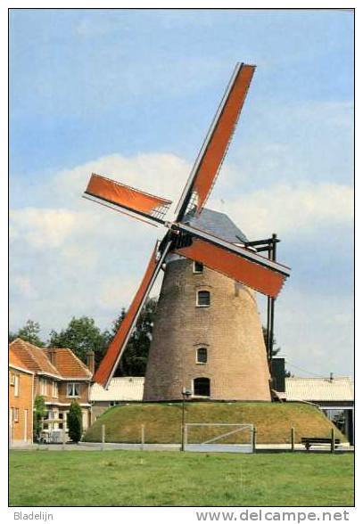 HAMME (O.Vl.) - Molen / Moulin - De Grote Napoleon In Werking Met Volle Zeilen, Na De Restauratie (1998). - Hamme