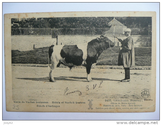 56 PONTIVY VENTE DE VACHES BRETONNES -BIDELS ET NORFOLK BRETONS - BOEUFS D´HERBAGES -ROT VETERINAIRE - Pontivy