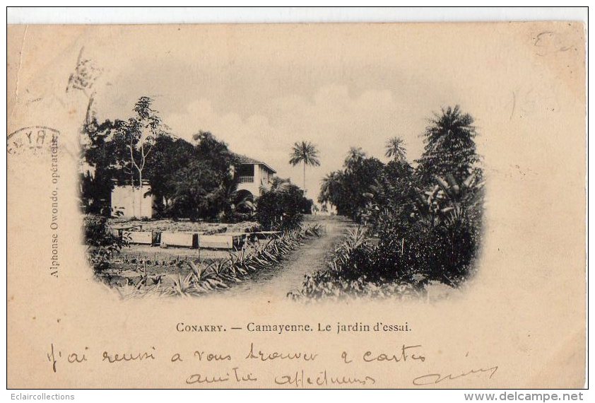 Afrique Noire  Guinée  Conakry:   Camayenne  Le Jardin D'essai   (voir Scan) - Guinée