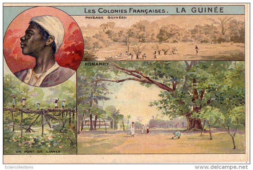 Afrique Noire  Guinée    Carte Colorisée  (sans Publicité)   (voir Scan) - Guinée