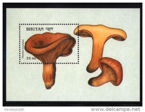 Bhutan - 1989 Mushrooms Block (5) MNH__(THB-1532) - Bhoutan