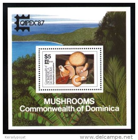 Dominica - 1987 Mushrooms Block MNH__(THB-1537) - Dominica (1978-...)