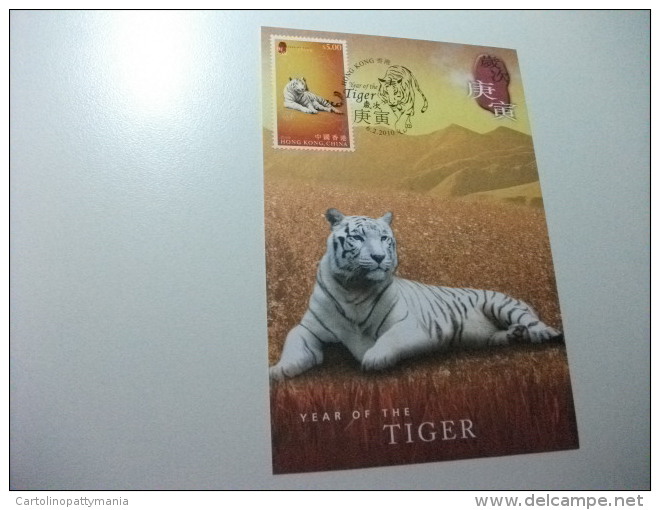 CARTOLINA MAXIMUM HONG KONG  CHINA  CINA  YEAR OF THE TIGER - Tigers