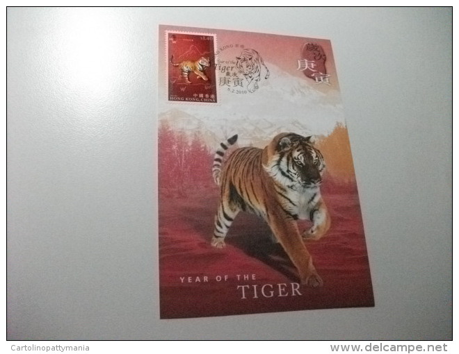 CARTOLINA MAXIMUM HONG KONG  CHINA  CINA  YEAR OF THE TIGER ROSSA - Tiger