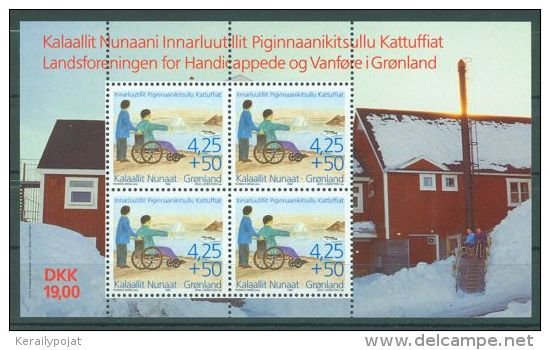 Greenland - 1996 Disabled People Block MNH__(TH-7366) - Blocks & Sheetlets