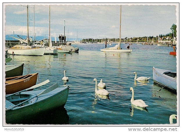 E CI.34 - THONON-les-BAINS (74) - Les Cygnes - Port - Bateaux - Animée - CPSM Non écrite Dos Propre - Scan Recto-verso - Thonon-les-Bains