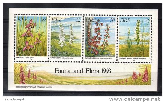 Ireland - 1993 Orchids Block MNH__(TH-4763) - Blocks & Sheetlets