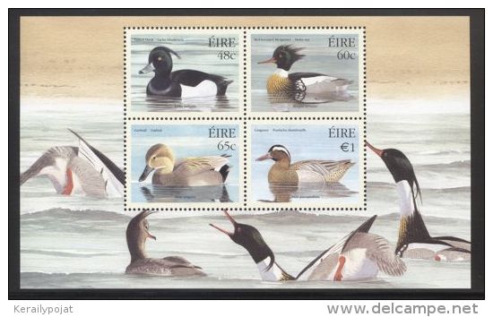 Ireland - 2004 Ducks Block MNH__(THB-3571) - Blocchi & Foglietti