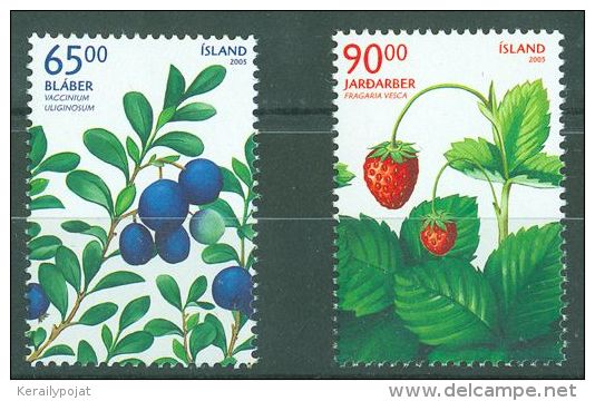 Iceland - 2005 Berries MNH__(TH-8968) - Nuevos