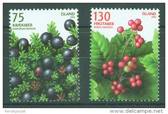 Iceland - 2006 Berries MNH__(TH-9054) - Unused Stamps