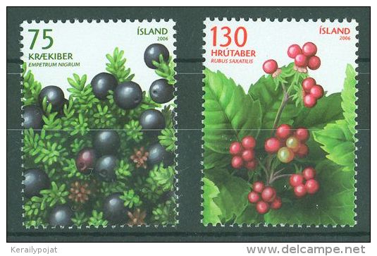 Iceland - 2006 Berries MNH__(TH-9054) - Ungebraucht