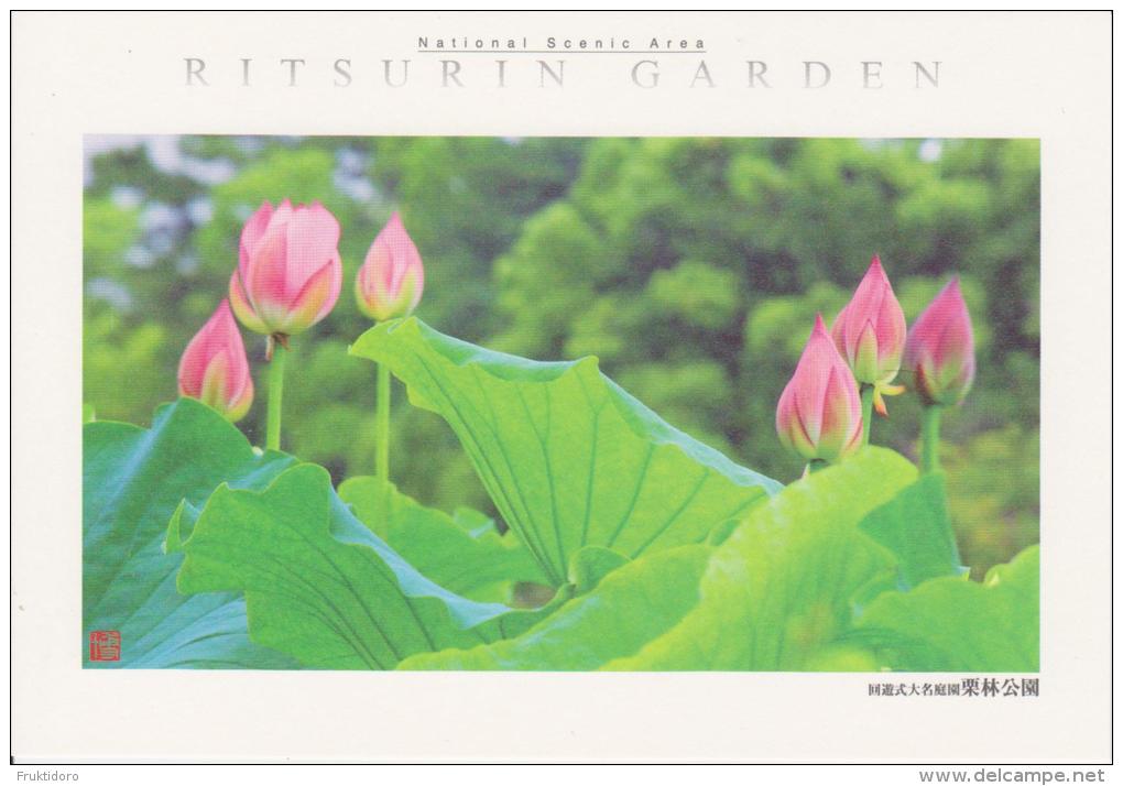 AKJP Japan Postcards Takamatsu - Ritsurin Garden  - Lotus Flowers - Cherry Blossom - Crane - Tea Ceremony House - Colecciones Y Lotes