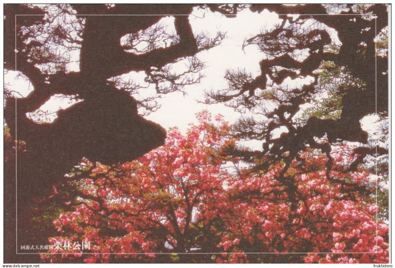 AKJP Japan Postcards Takamatsu - Ritsurin Garden  - Lotus Flowers - Cherry Blossom - Crane - Tea Ceremony House