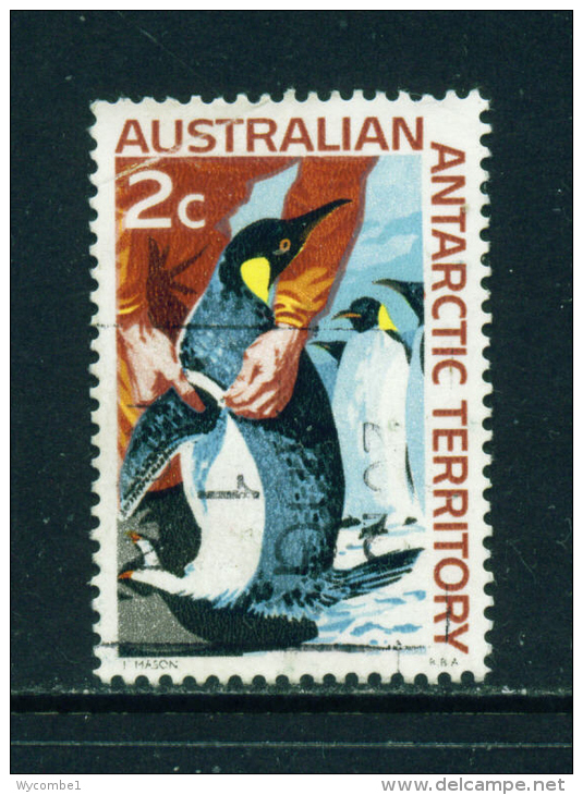 AUSTRALIAN ANTARCTIC TERRITORY - 1966 Definitives 2c Used As Scan - Used Stamps