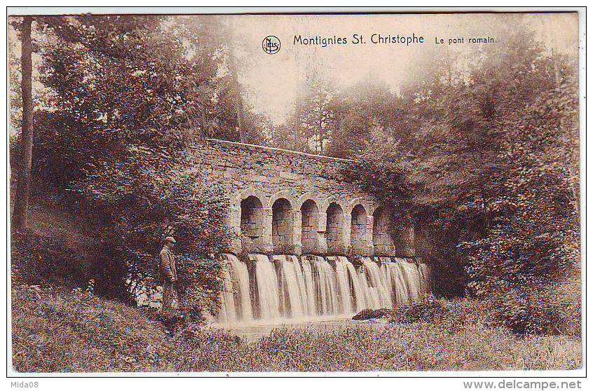 MONTIGNIES SAINT CHRISTOPHE. LE PONT ROMAIN. Carte Taxée à 10 C. - Beaumont