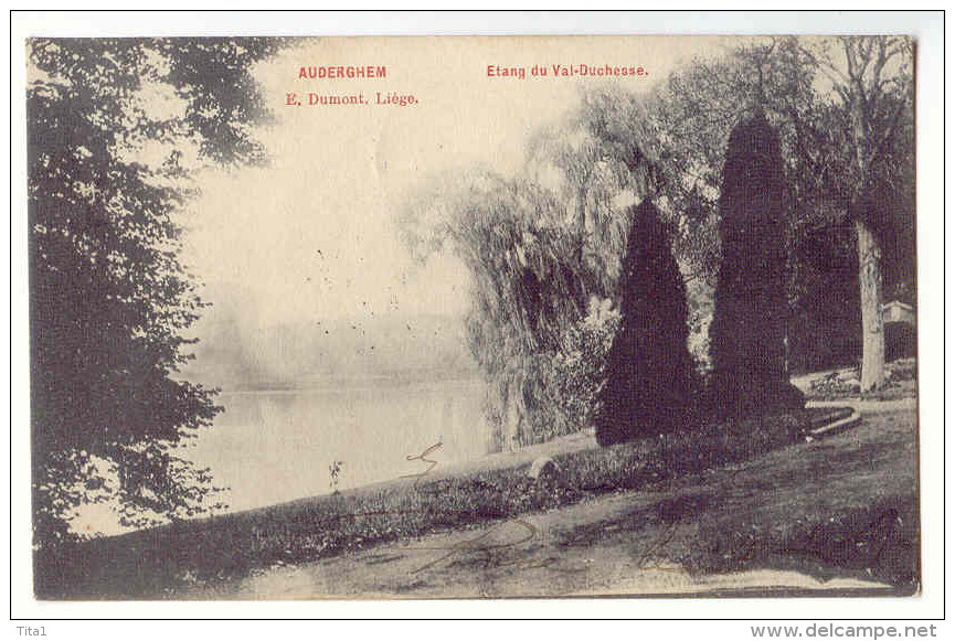 D 11096 - AUDERGHEM  -  étang Du Val-Duchesse - Oudergem - Auderghem