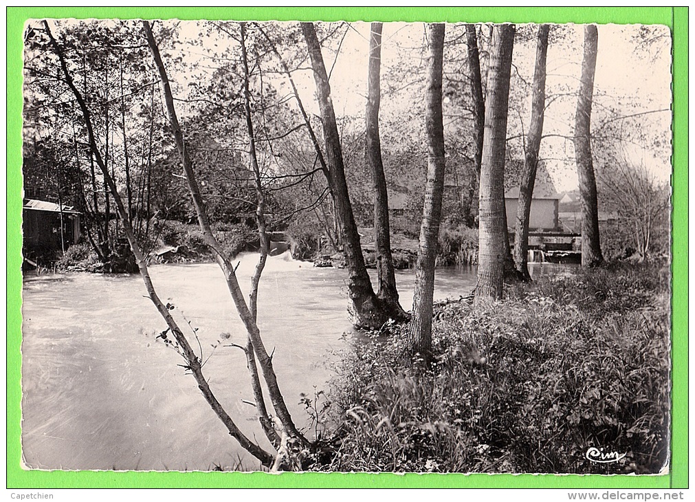 SAVIGNY SUR BRAYE / LA BRAYE / CHUTES DE MARCE .... / Carte écrite En 1958 - Autres & Non Classés