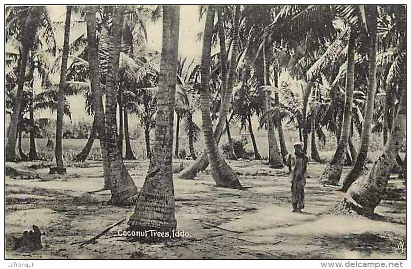 Pays Divers -ref A664- Raphael Tuck And Sons Post Card - Lagos -coconut Tree -iddo - Carte Bon Etat   - - Nigeria