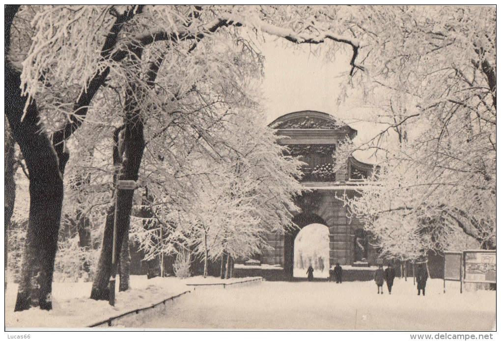 C1940 PARCO SCONOSCIUTO IN RUSSIA - UNKNOWN PARK IN RUSSIA - Russie