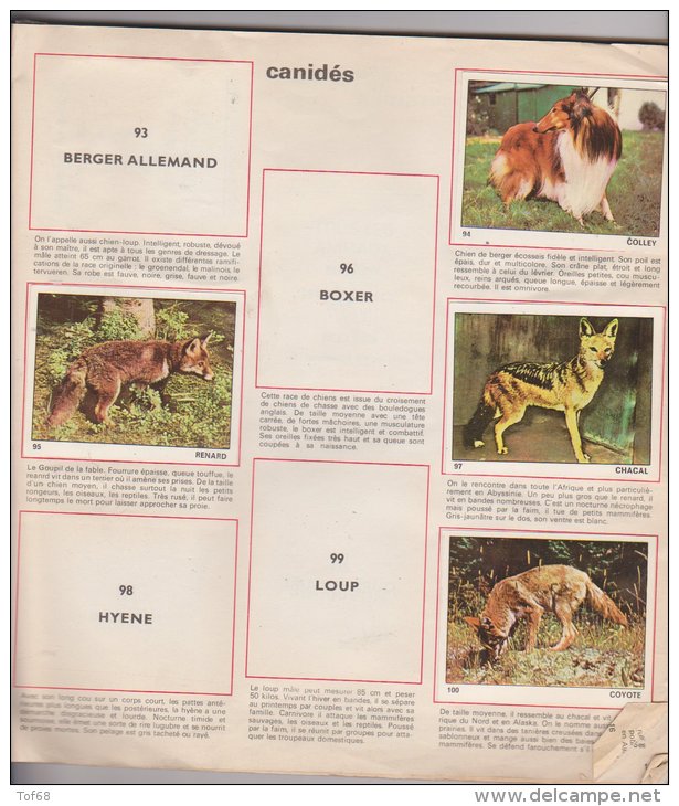 Album Jeunesse Collections Tous Les Animaux 1970 Avec 125 Images - Other & Unclassified