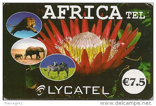 CARTE-PREPAYEE-7.5€-Blanc-LYCAT EL-AFRICA TEL-ANIMAUX-FLEUR-25/12/2 010- T BE- - Autres & Non Classés