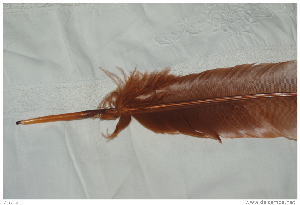 PLUME DROITE ECRITURE ECRIVAIN  CHAPEAU MARRON Roux  Tige  31 Cms - Hauben, Mützen, Hüte