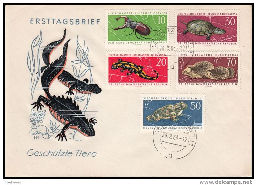 Germany GDR 1963 , Cover "Protected Animals" - Cartas & Documentos