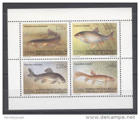 Kyrgyzstan - 1994 Fishes Kleinbogen MNH__(TH-9906) - Kirgisistan