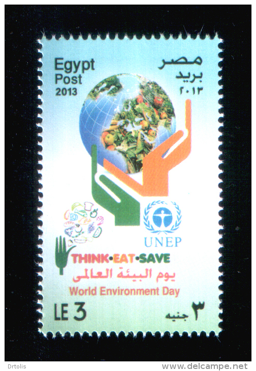 EGYPT / 2013 / UN / UNEP / WORLD ENVIRONMENT DAY / GLOBE / MAP / NUTRITION / FISH / VEGETABLES / FRUITS / MNH / VF - Ongebruikt