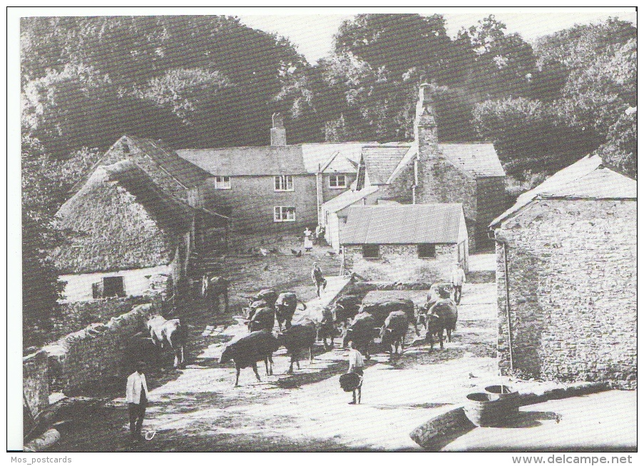 Devon Postcard - Dornafield Farm 1922 Nr Ipplepen, Devon  AA604 - Other & Unclassified