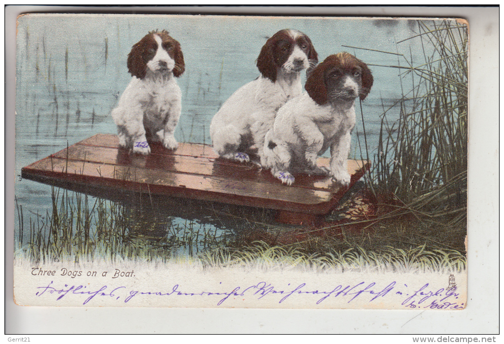 TIERE - HUNDE - " Three Dogs Ona Boat - Junge Hunde, 1905, Tuck Animal Life - Hunde