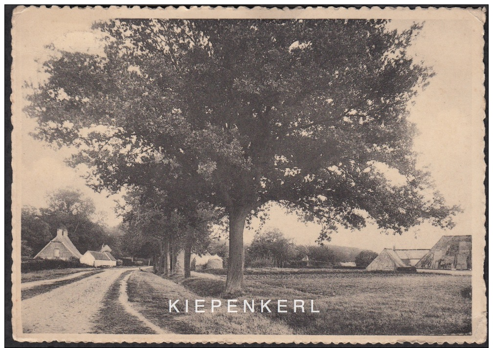 ´ S GRAVENWEZEL 1937 KATTENBERG - Schilde